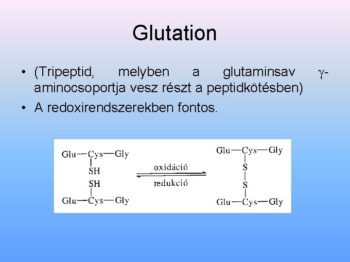 Glutation • (Tripeptid, melyben a glutaminsav aminocsoportja vesz részt a peptidkötésben) • A redoxirendszerekben