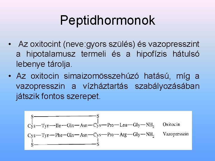 Peptidhormonok • Az oxitocint (neve: gyors szülés) és vazopresszint a hipotalamusz termeli és a