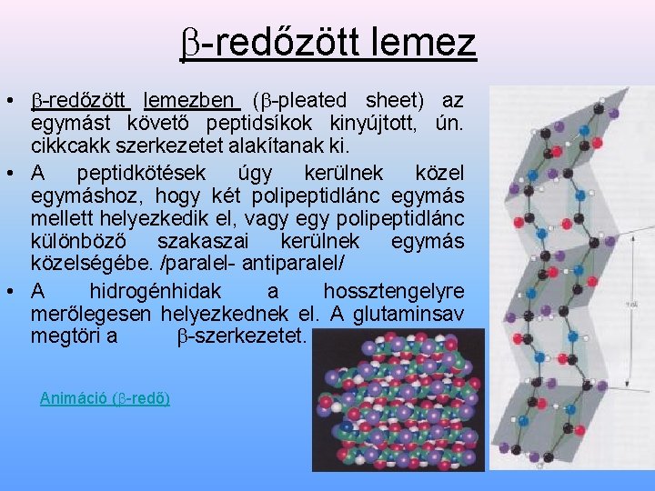  -redőzött lemez • -redőzött lemezben ( -pleated sheet) az egymást követő peptidsíkok kinyújtott,