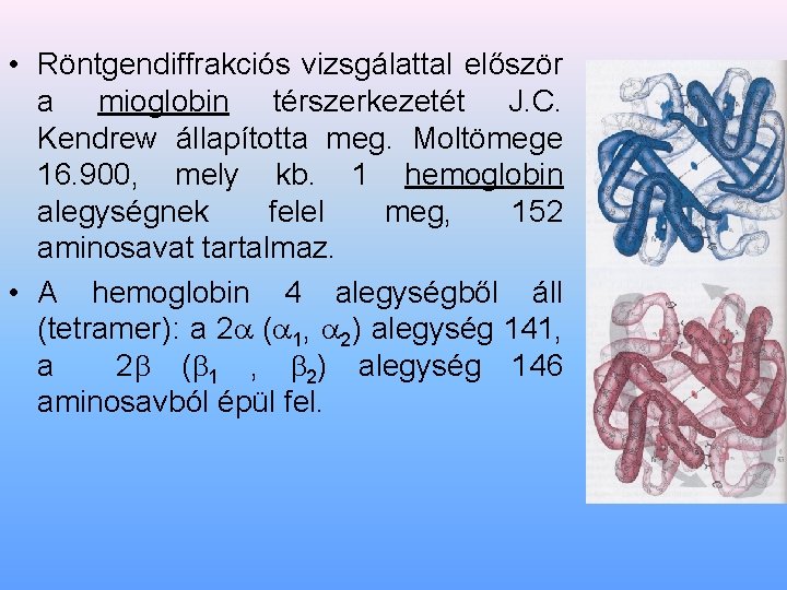  • Röntgendiffrakciós vizsgálattal először a mioglobin térszerkezetét J. C. Kendrew állapította meg. Moltömege