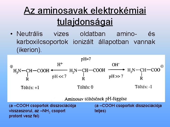 Az aminosavak elektrokémiai tulajdonságai • Neutrális vizes oldatban aminoés karboxilcsoportok ionizált állapotban vannak (ikerion).