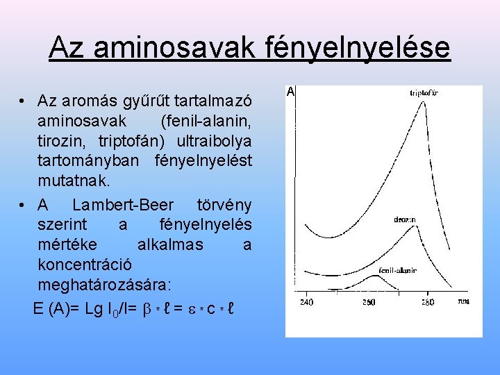 Az aminosavak fényelése • Az aromás gyűrűt tartalmazó aminosavak (fenil-alanin, tirozin, triptofán) ultraibolya tartományban