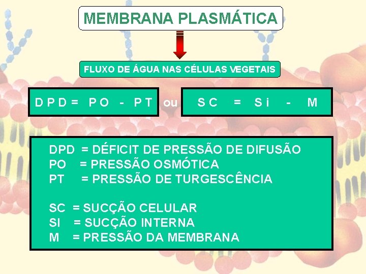 MEMBRANA PLASMÁTICA FLUXO DE ÁGUA NAS CÉLULAS VEGETAIS D P D = P O