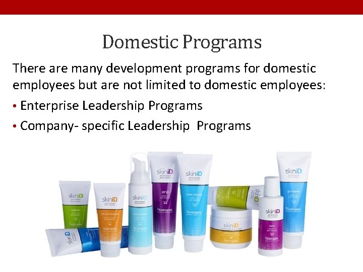 Domestic Programs There are many development programs for domestic employees but are not limited