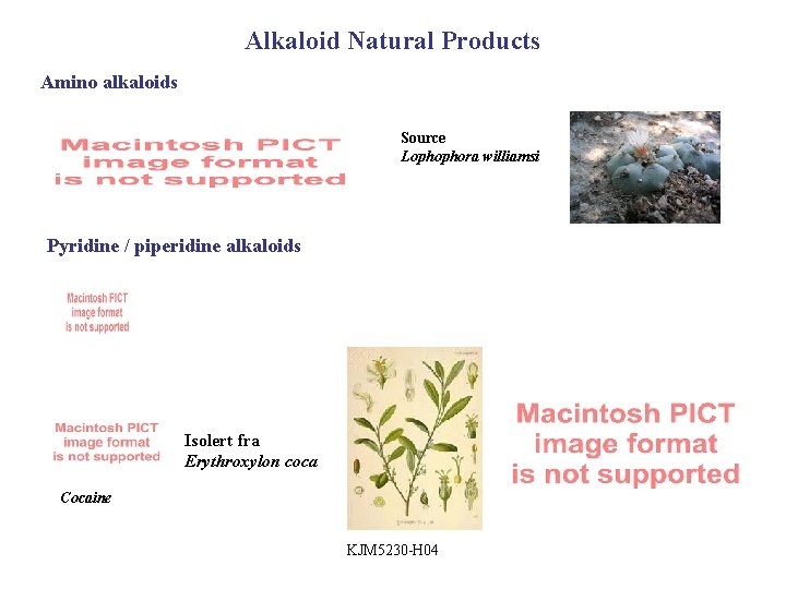 Alkaloid Natural Products Amino alkaloids Source Lophophora williamsi Pyridine / piperidine alkaloids Isolert fra