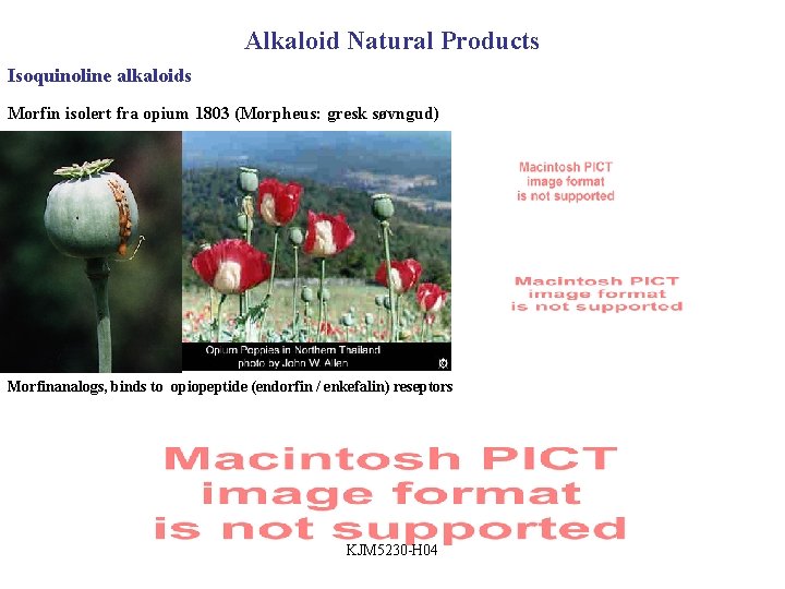 Alkaloid Natural Products Isoquinoline alkaloids Morfin isolert fra opium 1803 (Morpheus: gresk søvngud) Morfinanalogs,