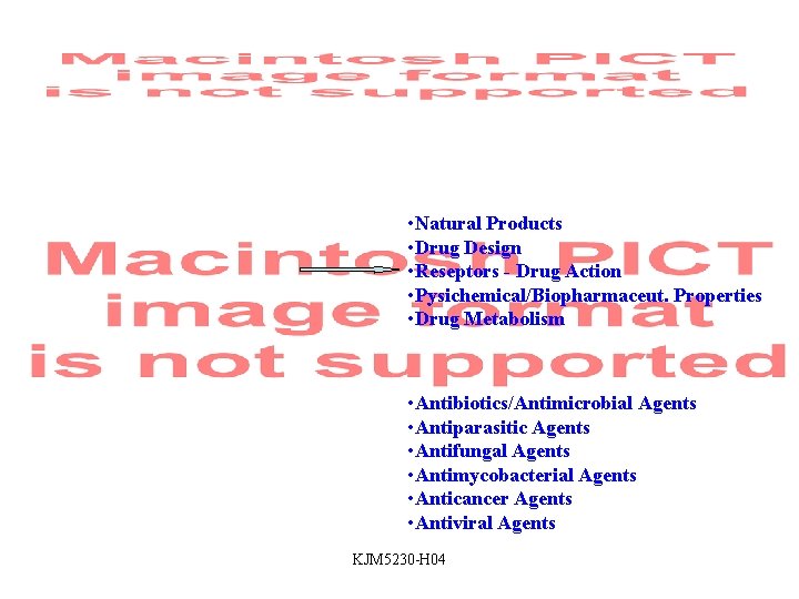  • Natural Products • Drug Design • Reseptors - Drug Action • Pysichemical/Biopharmaceut.