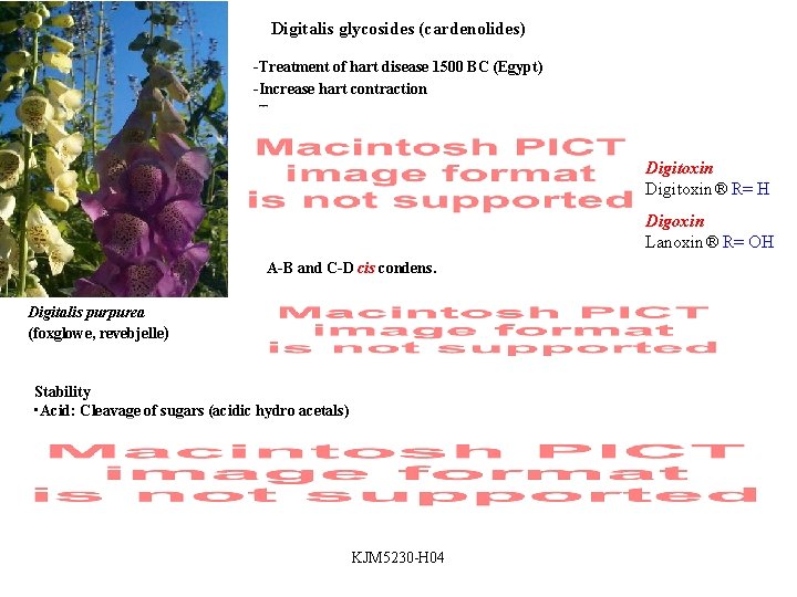 Digitalis glycosides (cardenolides) -Treatment of hart disease 1500 BC (Egypt) -Increase hart contraction -Tox.