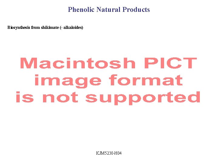 Phenolic Natural Products Biosynthesis from shikimate (- alkaloides) KJM 5230 -H 04 