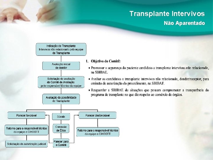 Transplante Intervivos Não Aparentado 