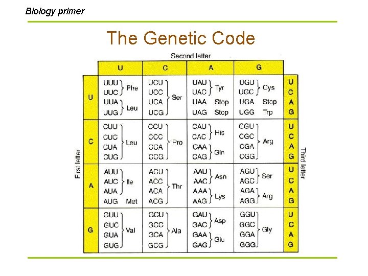 Biology primer The Genetic Code 