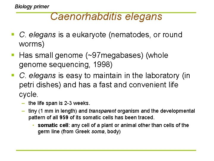 Biology primer Caenorhabditis elegans § C. elegans is a eukaryote (nematodes, or round worms)