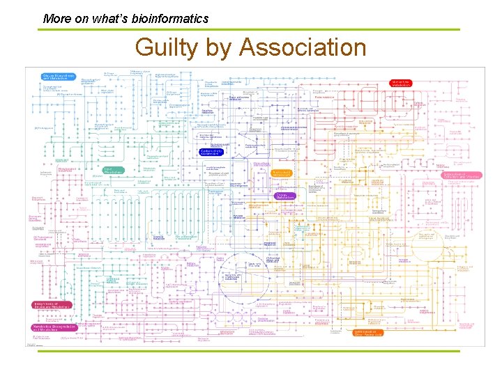 More on what’s bioinformatics Guilty by Association 