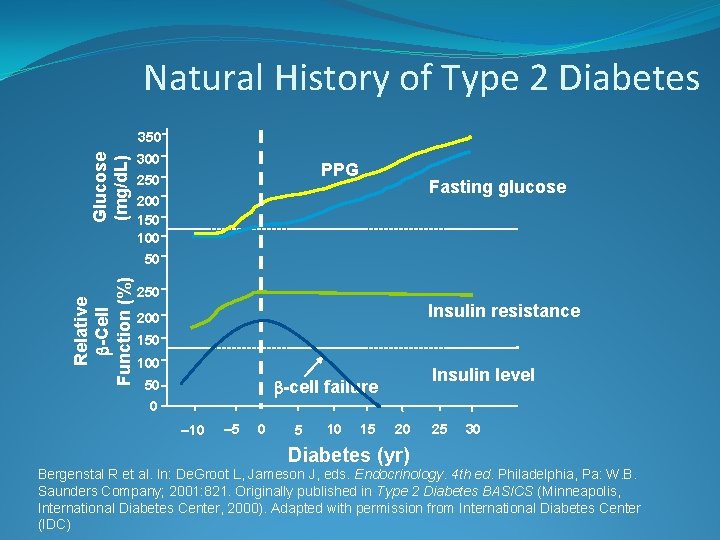 Natural History of Type 2 Diabetes Relative -Cell Function (%) Glucose (mg/d. L) 350