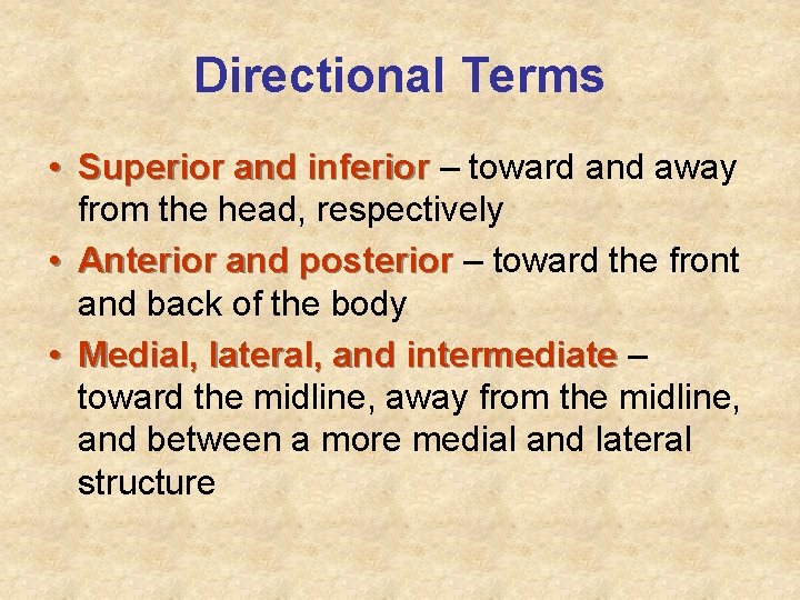 Directional Terms • Superior and inferior – toward and away from the head, respectively Directional Terms • Superior and inferior – toward and away from the head, respectively