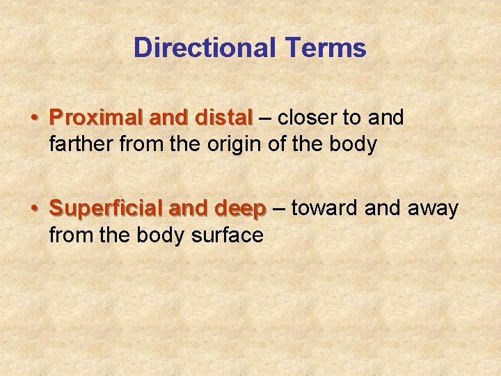 Directional Terms • Proximal and distal – closer to and farther from the origin