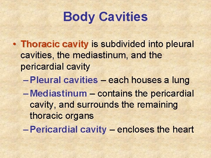 Body Cavities • Thoracic cavity is subdivided into pleural cavities, the mediastinum, and the