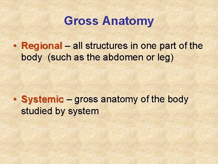 Gross Anatomy • Regional – all structures in one part of the body (such Gross Anatomy • Regional – all structures in one part of the body (such