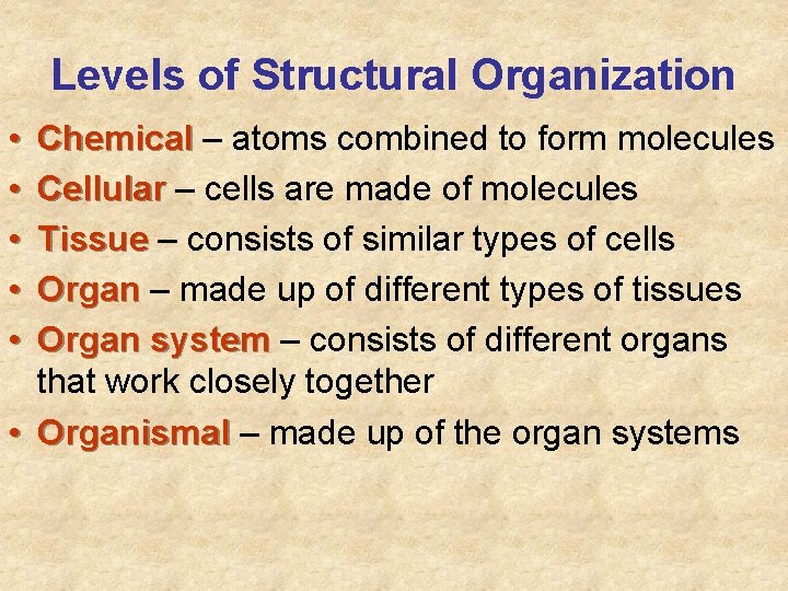 Levels of Structural Organization • • • Chemical – atoms combined to form molecules Levels of Structural Organization • • • Chemical – atoms combined to form molecules