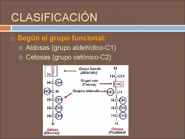 CLASIFICACIÓN Según el grupo funcional: Aldosas (grupo aldehídico-C 1) Cetosas (grupo cetónico-C 2) 