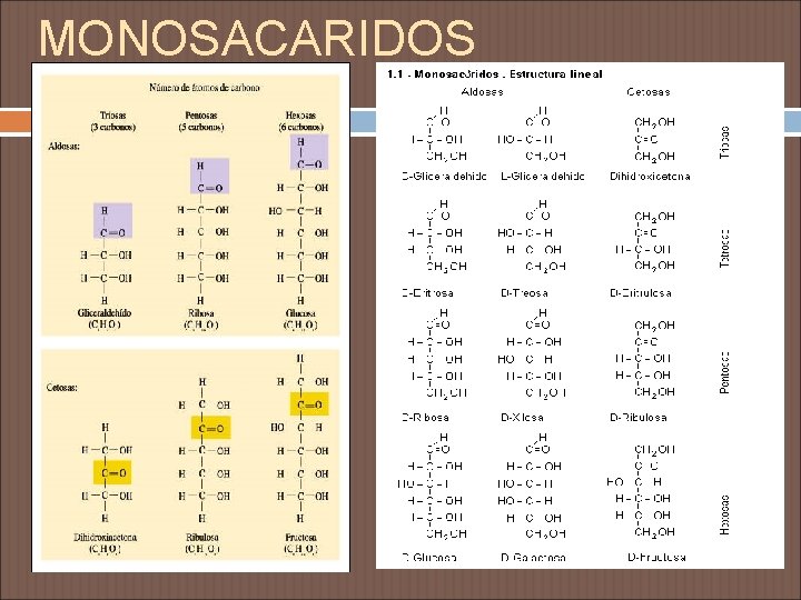 MONOSACARIDOS 