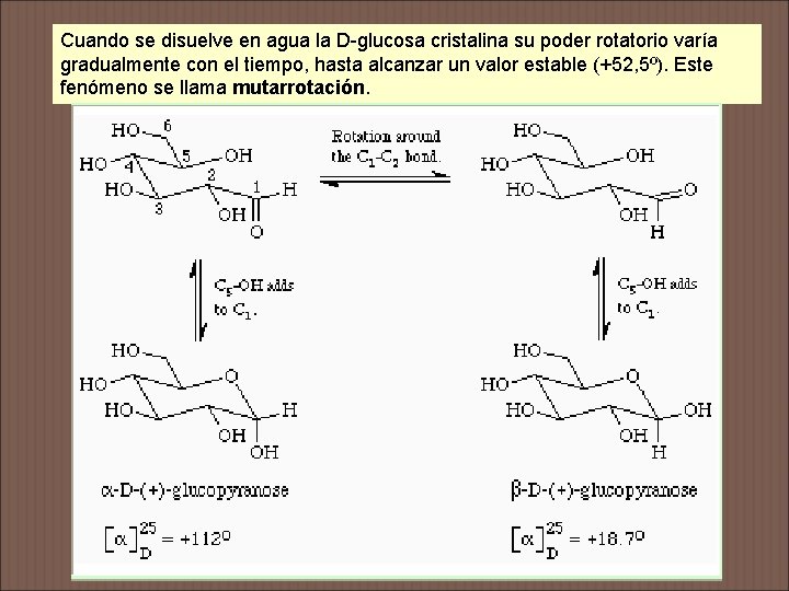 Cuando se disuelve en agua la D-glucosa cristalina su poder rotatorio varía gradualmente con