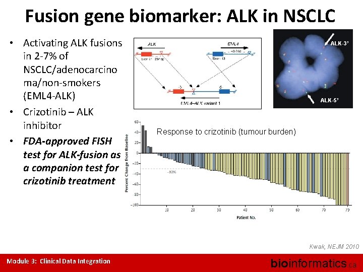 Fusion gene biomarker: ALK in NSCLC • Activating ALK fusions in 2 -7% of