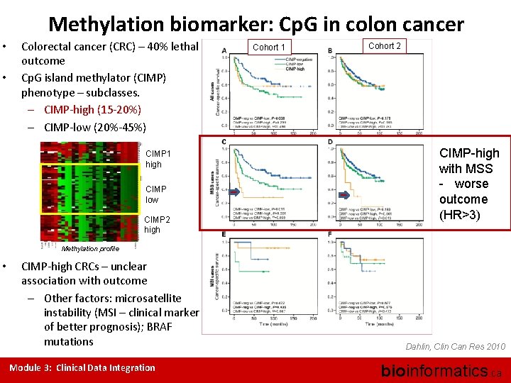 Methylation biomarker: Cp. G in colon cancer • • Colorectal cancer (CRC) – 40%