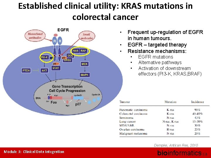 Established clinical utility: KRAS mutations in colorectal cancer EGFR • • • Frequent up-regulation