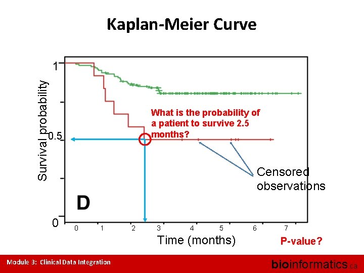 Kaplan-Meier Curve Survival probability 1 What is the probability of a patient to survive