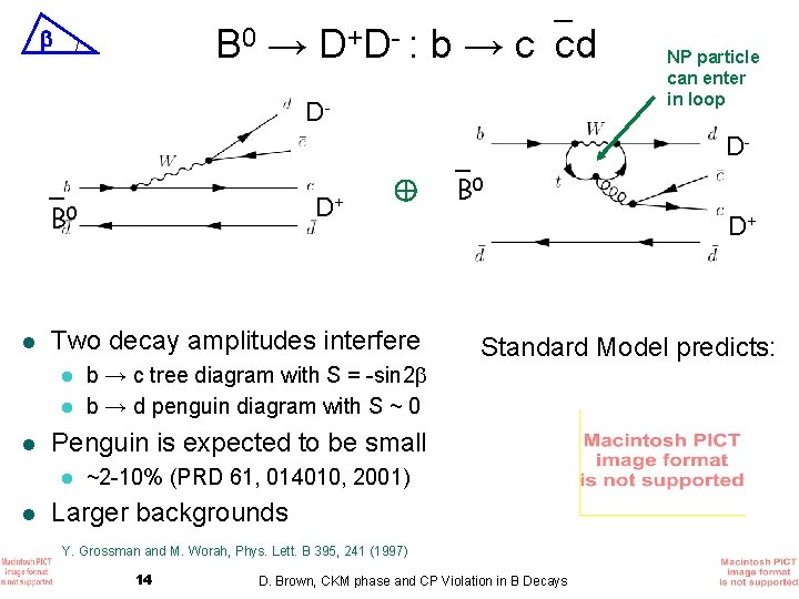 B 0 → D+D- : b → c cd D- NP particle can enter