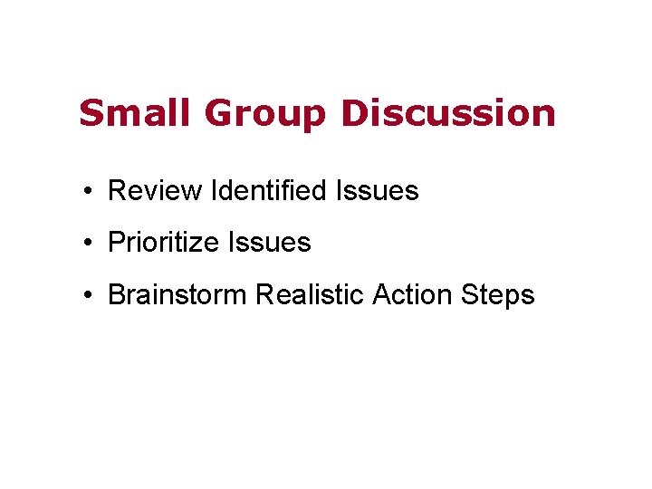 Small Group Discussion • Review Identified Issues • Prioritize Issues • Brainstorm Realistic Action