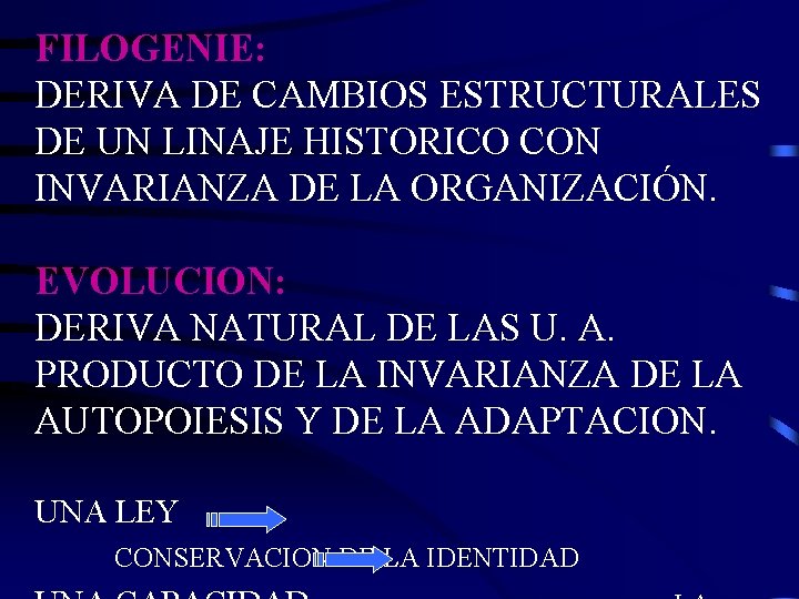 FILOGENIE: DERIVA DE CAMBIOS ESTRUCTURALES DE UN LINAJE HISTORICO CON INVARIANZA DE LA ORGANIZACIÓN.