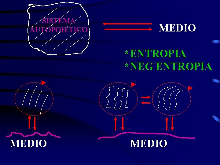 SISTEMA AUTOPOIETICO MEDIO *ENTROPIA *NEG ENTROPIA MEDIO 