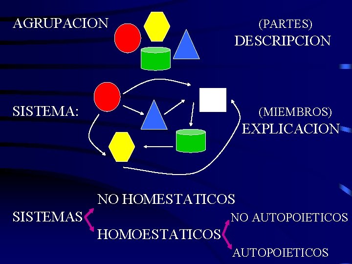 AGRUPACION (PARTES) DESCRIPCION SISTEMA: (MIEMBROS) EXPLICACION NO HOMESTATICOS SISTEMAS NO AUTOPOIETICOS HOMOESTATICOS AUTOPOIETICOS 