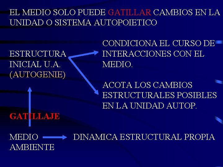 EL MEDIO SOLO PUEDE GATILLAR CAMBIOS EN LA UNIDAD O SISTEMA AUTOPOIETICO ESTRUCTURA INICIAL