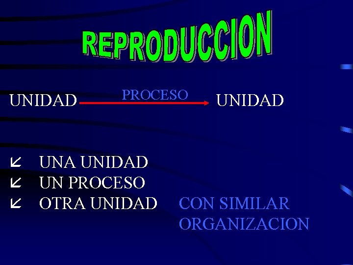 UNIDAD PROCESO å UNA UNIDAD å UN PROCESO å OTRA UNIDAD CON SIMILAR ORGANIZACION