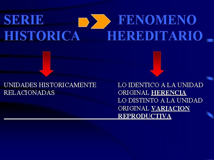 SERIE HISTORICA UNIDADES HISTORICAMENTE RELACIONADAS FENOMENO HEREDITARIO LO IDENTICO A LA UNIDAD ORIGINAL HERENCIA