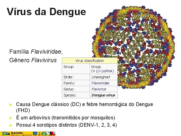 Vírus da Dengue Família Flaviviridae, Gênero Flavivirus n n n Virus classification Group: Group