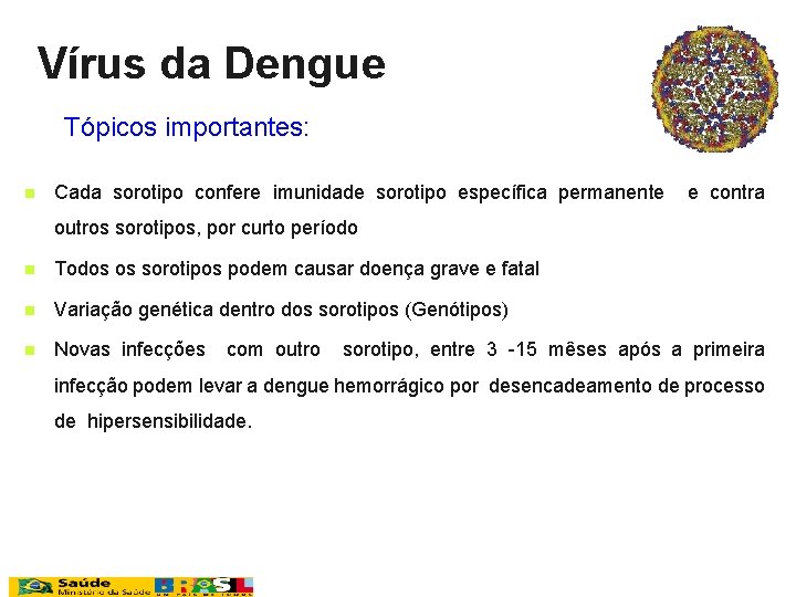 Vírus da Dengue Tópicos importantes: n Cada sorotipo confere imunidade sorotipo específica permanente e