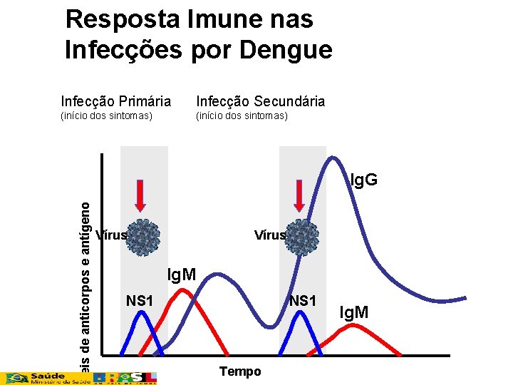 Resposta Imune nas Infecções por Dengue Infecção Primária Infecção Secundária (início dos sintomas) veis