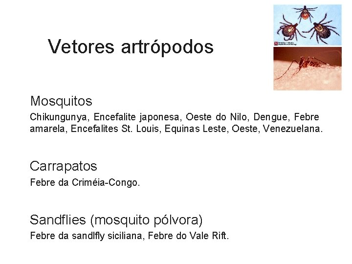 Vetores artrópodos Mosquitos Chikungunya, Encefalite japonesa, Oeste do Nilo, Dengue, Febre amarela, Encefalites St.