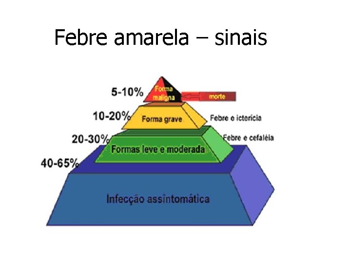 Febre amarela – sinais 