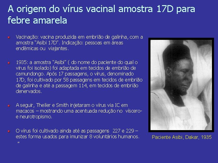 A origem do vírus vacinal amostra 17 D para febre amarela Vacinação: vacina produzida