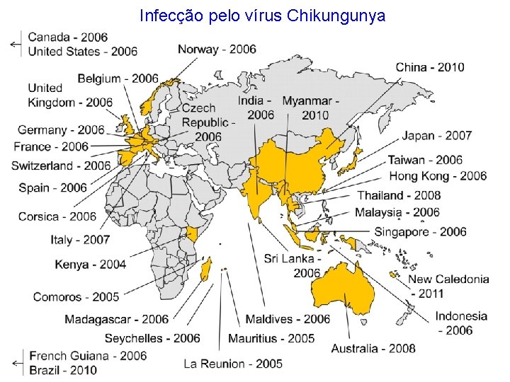 Infecção pelo vírus Chikungunya 