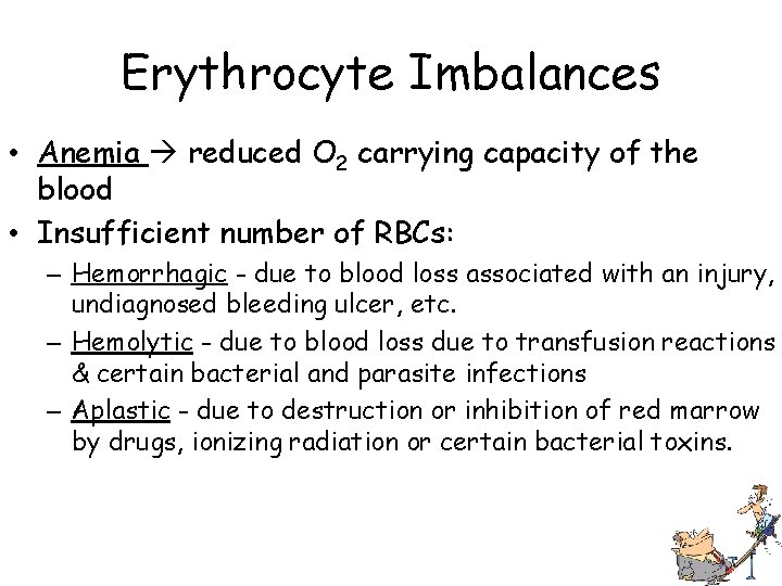 Erythrocyte Imbalances • Anemia reduced O 2 carrying capacity of the blood • Insufficient