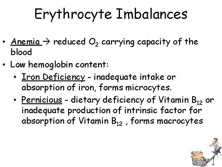 Erythrocyte Imbalances • Anemia reduced O 2 carrying capacity of the blood • Low