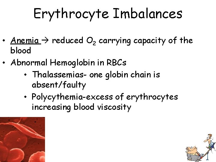 Erythrocyte Imbalances • Anemia reduced O 2 carrying capacity of the blood • Abnormal