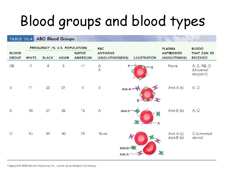 Blood groups and blood types 