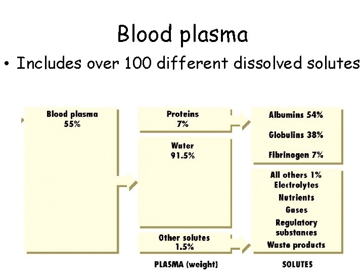 Blood plasma • Includes over 100 different dissolved solutes 
